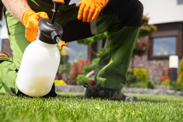 Best Exterminator Services  in Quincy, MI