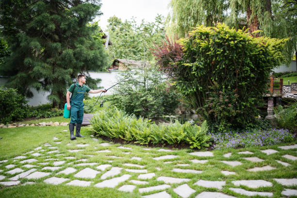 Best Best Pest Control Near Me  in Quincy, MI