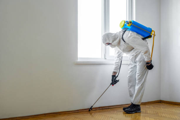 Best Insect Control  in Quincy, MI