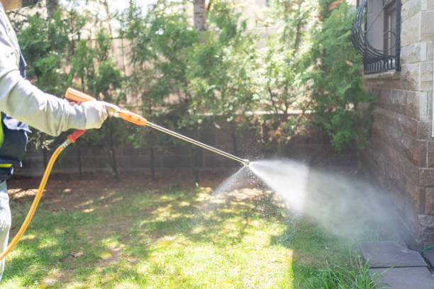 Best Affordable Pest Control Services  in Quincy, MI