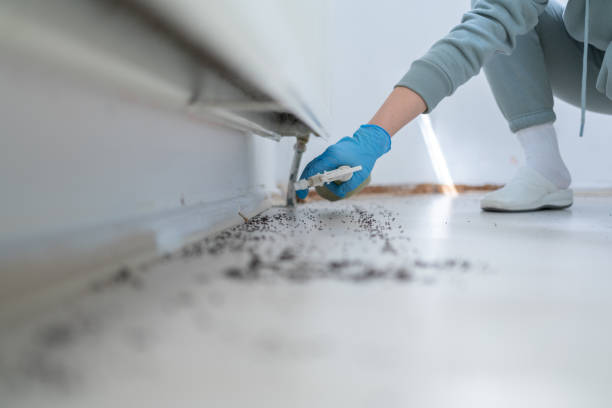 Best Affordable Pest Control Services  in Quincy, MI