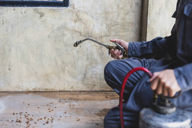 Best Rat Extermination Near Me  in Quincy, MI